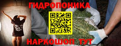 гидра Аша