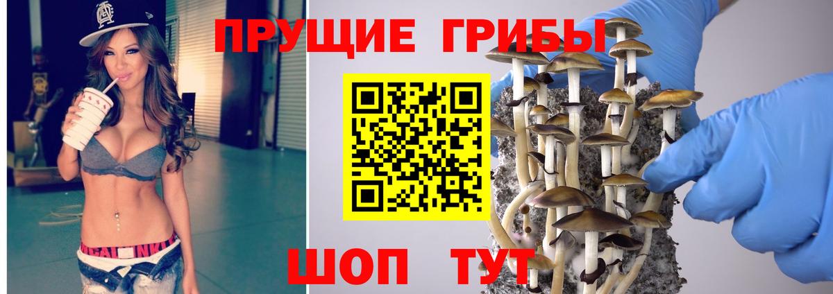 Псилоцибиновые грибы прущие грибы  Вход с VPN  купить закладку  Галлюциногенные грибы Cubensis  Волгоград 