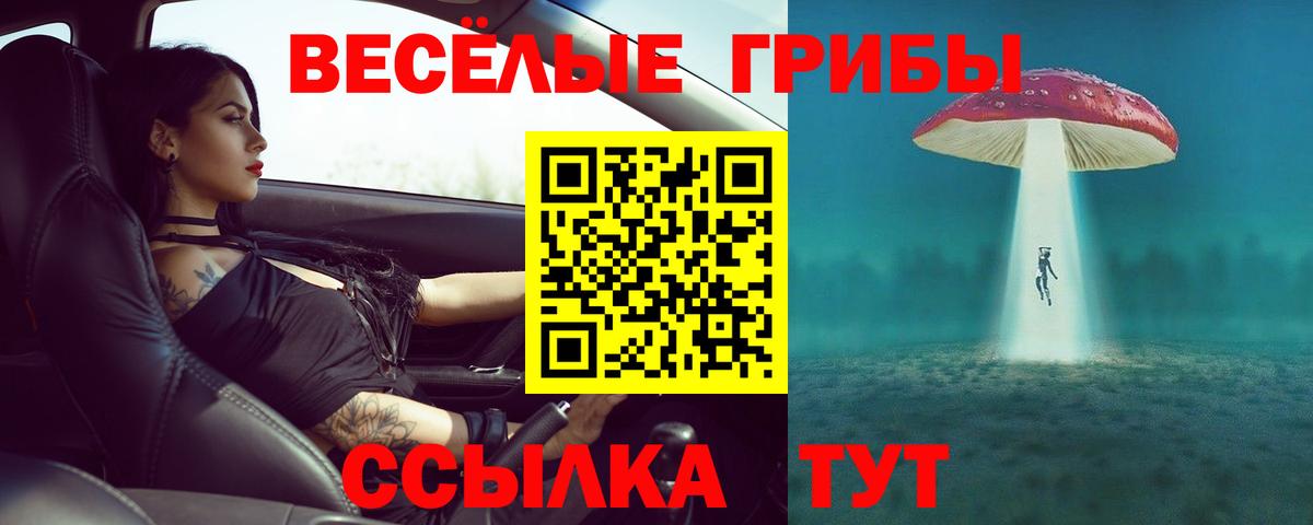 Псилоцибиновые грибы Cubensis Волгоград